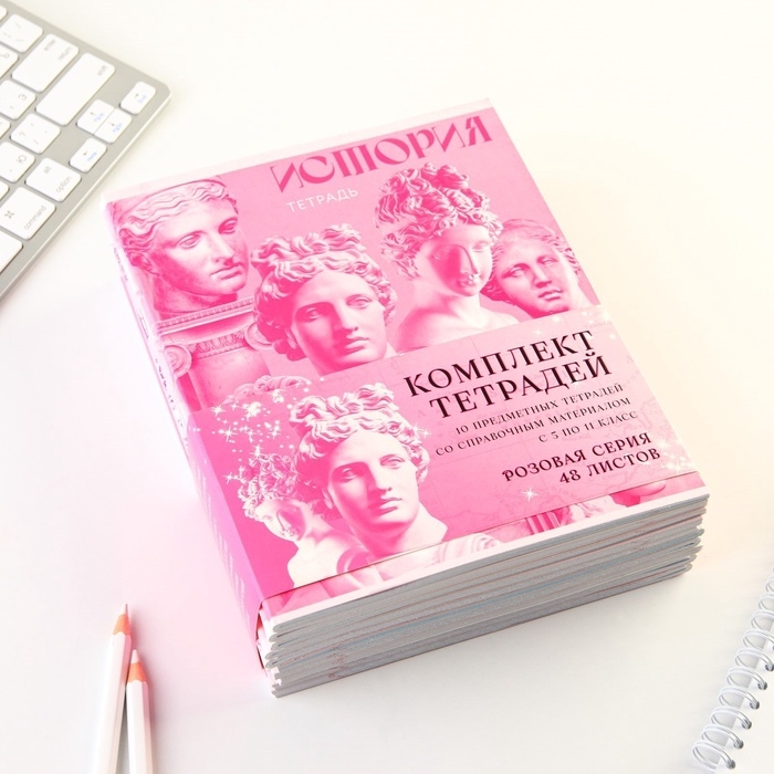 Комплект тетрадей 48 листов, 10 предметов со справ. мат. в обечайке "Розовый"
