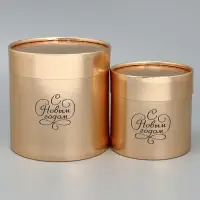 Набор коробок золотых 2 в 1 &laquo;Новогоднее настроение&raquo;, 12 х 12, 15 х 15 см