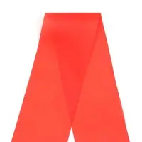 Лента на выпускной &laquo;Выпускник 9 класса&raquo;, шёлк красный фольга