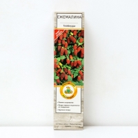 Ежемалина (Ежевика) "Тейберри (малина х ежевика)" 1 шт, туба, Весна 2025