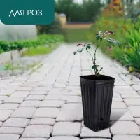 Пакет для рассады, 1,5 л, 11 &times; 11 см, h = 20 см, полиэтилен, чёрный, Greengo