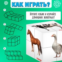 Развивающий трансформер &laquo;Умникуб: Домашние животные&raquo;, 3+