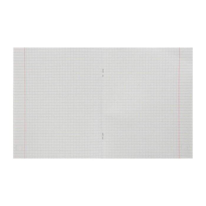 Комплект тетрадей из 4 штук, 48 листов в клетку Calligrata Лисички, обложка мелованная бумага, блок №2, белизна 75% (серые листы) Комплект тетрадей из 4 штук, 48 листов в клетку Calligrata Лисички, обложка мелованная бумага, блок №2, белизна 75% (серые листы)