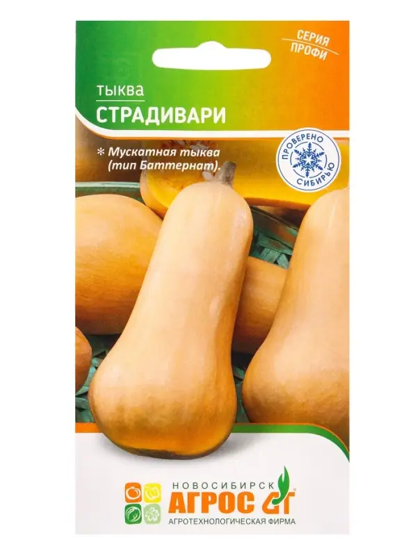 Семена Тыква "Страдивари" 5 шт