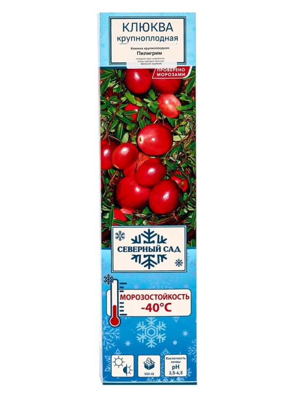 Клюква крупноплодная (Серия Северный Сад) "Пилигрим" 1 шт, туба, Весна 2025