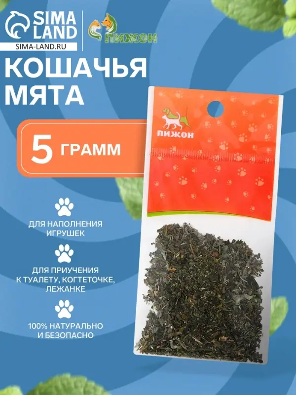 Кошачья мята "Пижон", 5 г