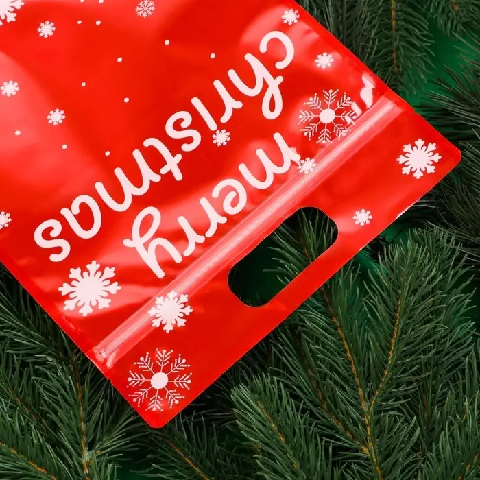 Пакет подарочный, "С новым годом!", с zip-lock застежкой, 20х30+4,5 см.