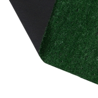 Газон искусственный, ворс 10 мм, 2 &times; 25 м, зелёный, Greengo