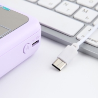 Зарядное устройство &laquo;Твоя красота вдохновляет&raquo;, 5000мА, мод. PB-03, 10,4 х 6,4 см