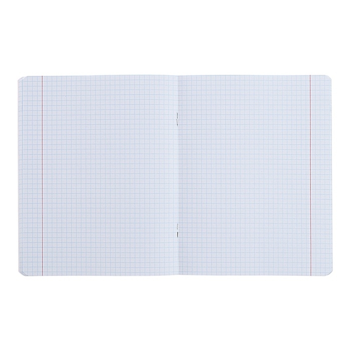 Тетрадь предметная "Мир будущего", 48 листов в клетку,"Физика", мелованный картон, металлизированная краска, блок офсет