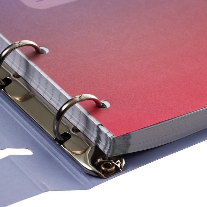 Тетрадь на кольцах А5, 100 листов в клетку Meshu Neko, обложка мелованный картон, матовая ламинация, тиснение фольгой