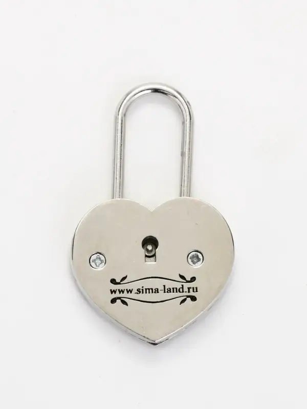 Замок свадебный с ключом &laquo;Вместе навсегда&raquo;, 5.1&times;7 см