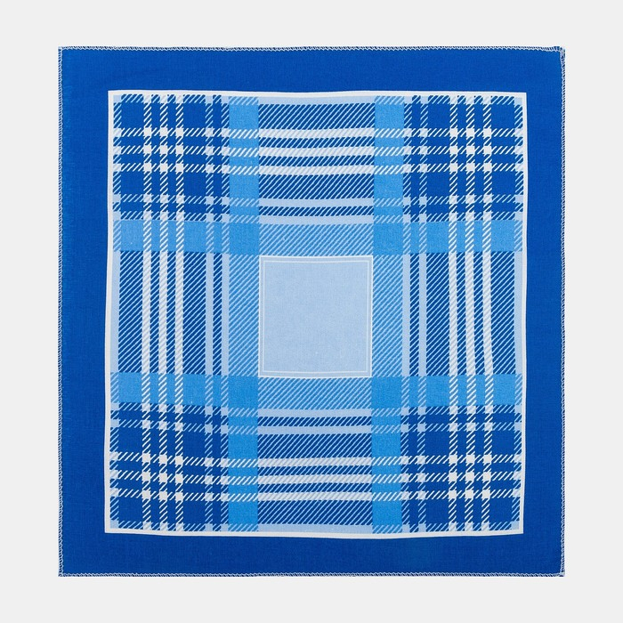 Платки носовые мужские Этель 30*30 см,(набор 12 шт,) цв.Голубой, рис. МИКС 100% хл Платки носовые мужские Этель 30*30 см,(набор 12 шт,) цв.Голубой, рис. МИКС 100% хл