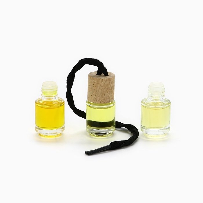 Ароматизаторы для машины новогодние «Все сбудется, загадывай», цитрус, тропики, парфюм, 3 шт Ароматизаторы для машины новогодние «Все сбудется, загадывай», цитрус, тропики, парфюм, 3 шт