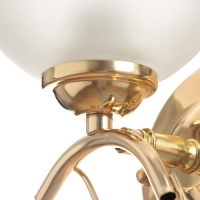 Бра 3905-158/1 40Вт E27 золото Бра 3905-158/1 40Вт E27 золото