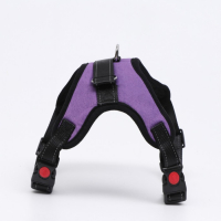Шлейка К7 мягкая светоотражающая, размер L, ОГ 64-86 см, вес 18- 27,5 кг, фиолетовая Шлейка К7 мягкая светоотражающая, размер L, ОГ 64-86 см, вес 18- 27,5 кг, фиолетовая