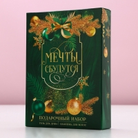 Подарочный набор косметики &laquo;Мечты обязательно сбудутся&raquo;, гель для душа и шампунь для волос, 2 х 250 мл, Новый Год
