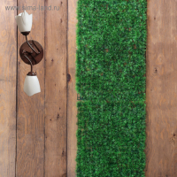 Декоративная панель, 60 &times; 40 см, &laquo;Аспарагус&raquo;, Greengo