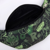 Сумка детская поясная для мальчика &laquo;Динозавры&raquo;, на молнии, наружный карман, цвет зелёный