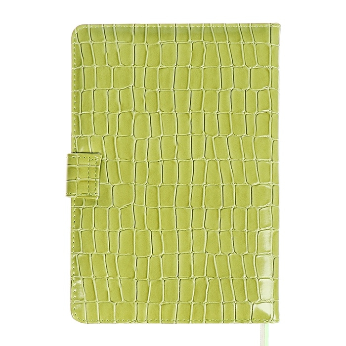 Ежедневник датированный 2025 года, A5, 168 листов, deVENTE. Barbara, твердая обложка кожзам с поролоном, перфорацией, ляссе, блок 70, зеленый Ежедневник датированный 2025 года, A5, 168 листов, deVENTE. Barbara, твердая обложка кожзам с поролоном, перфорацией, ляссе, блок 70, зеленый