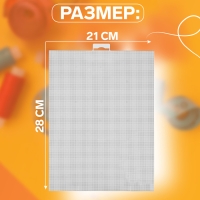 Канва для вышивания №14, пластиковая, 21 × 28 см, цвет белый Канва для вышивания №14, пластиковая, 21 × 28 см, цвет белый
