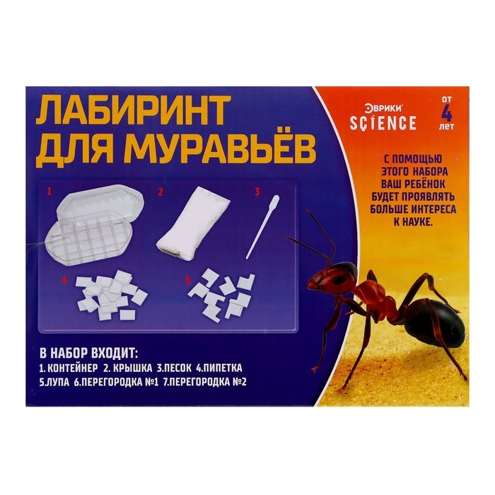 Набор для опытов &laquo;Лабиринт для муравьёв&raquo;