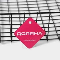 Корзина сетчатая навесная на полку Доляна, 40,5&times;25&times;14 см, цвет чёрный