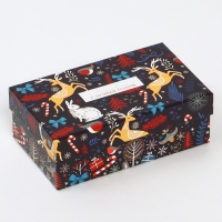 Набор коробок подарочных 15 в 1 &laquo;Европейский&raquo;, 12 х 7 х 4 см - 46,6 х 35,2 х 17.5 см, Новый год