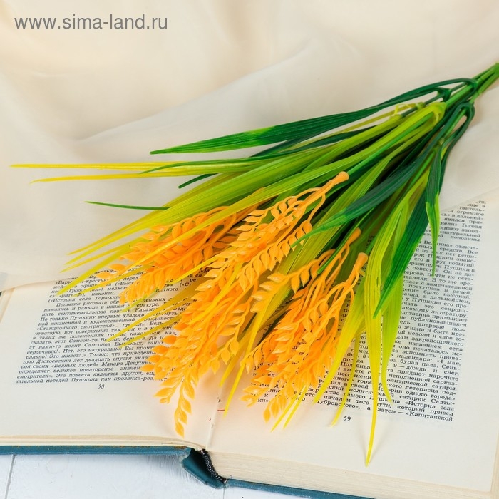 Букет Букет "Колосок" 36 см