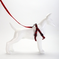 Комплект "Большая лапа", ширина 1,5 см, поводок 120 см, шлейка 28-42 см, красно-чёрный Комплект "Большая лапа", ширина 1,5 см, поводок 120 см, шлейка 28-42 см, красно-чёрный