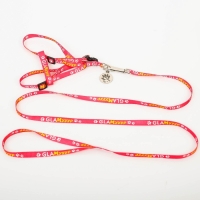 Комплект &laquo;Ты и я&raquo;, шлейка 26-39 см, поводок 120х1 см, медальон