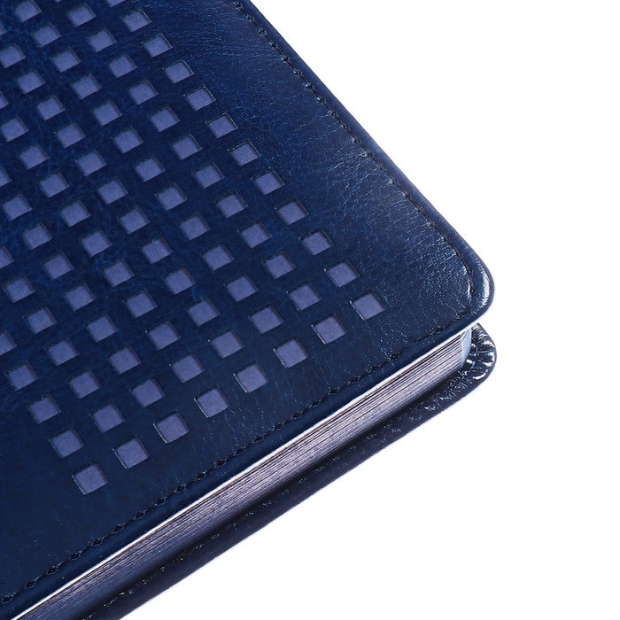 Ежедневник датированный 2025 года, ESCALADA, A5 176 листов, твердая обложка кожзам с поролоном, блинтовое тиснение, перфорация на обложке, блок 70 г/м2, синий Ежедневник датированный 2025 года, ESCALADA, A5 176 листов, твердая обложка кожзам с поролоном, блинтовое тиснение, перфорация на обложке, блок 70 г/м2, синий