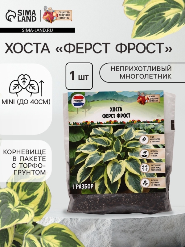 Хоста &laquo;Ферст Фрост&raquo;, корневище в пакете с торфогрунтом, р-р I, 1 шт.