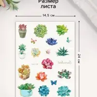 Переводные тату на тело цветные &laquo;Бабочки. Суккуленты&raquo;, 24&times;14.5 см, МИКС