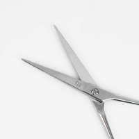 Ножницы парикмахерские с упором, лезвие — 6,5 см, цвет серебристый Ножницы парикмахерские с упором, лезвие — 6,5 см, цвет серебристый