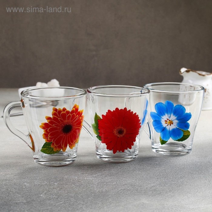 Кружка стеклянная &laquo;Коллекция цветов&raquo;, 250 мл, рисунок МИКС