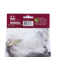 Астра новобельгийская &laquo;Фэллоушип&raquo;,корневище в торфогрунте, р-р I, 1 шт.