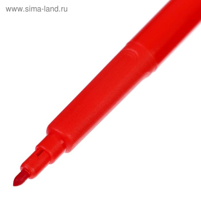 Фломастеры Koh-I-Noor &laquo;Совы&raquo;, 12 цветов, смываемые, трёхгранные, Koh-I-Noor , в пластиковой упаковке, европодвес