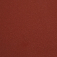 Круг абразивный шлифовальный под "липучку" ТУНДРА, 150 мм, Р1500, 5 шт.