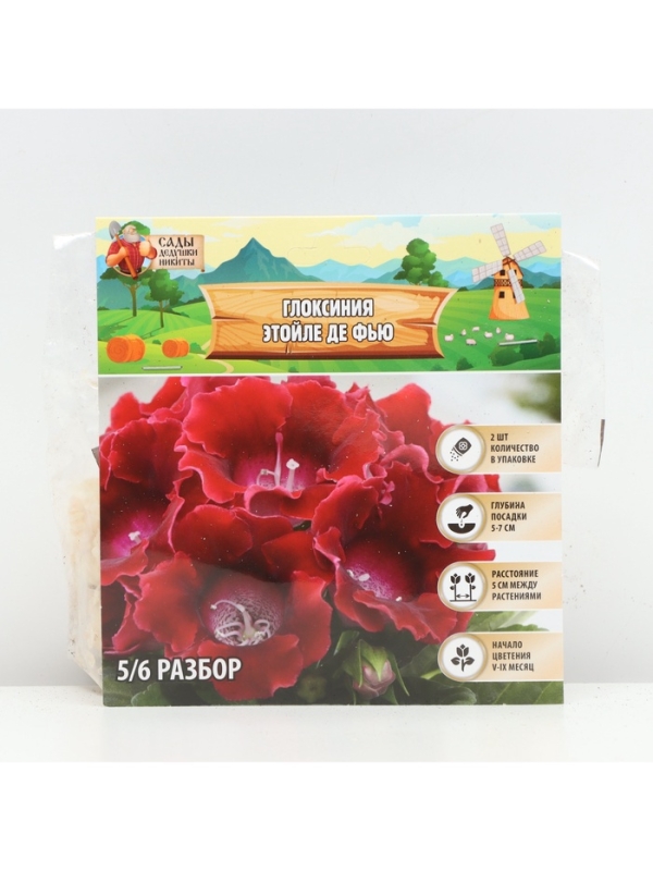 Глоксиния Глоксиния "Этойле де Фью", р-р 5/6, 2 шт