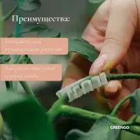 Кистедержатель &laquo;Улитка&raquo;, 3.5 см, набор 50 шт., Greengo
