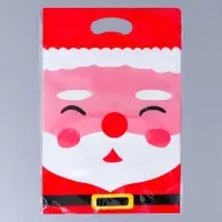 Пакет подарочный, с zip-lock застежкой, "Дед Мороз", 15х23 &plusmn; 1см.