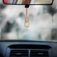 Ароматизатор подвесной &laquo;Сочного настроения&raquo;, аромат: цитрус, 5 мл