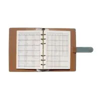 Органайзер на кольцах, C6, с хлястиком, 80л, линия, к/зам, Зеленый