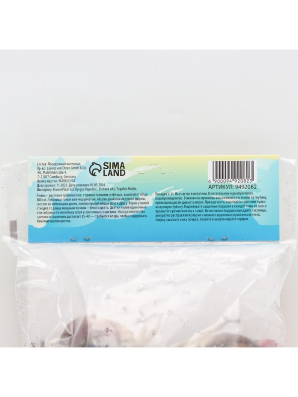 Лилии Трубчатые смотрящие вверх Orange Planet, луковица в пакете с перфорацией, р-р 12/14, 2 шт.