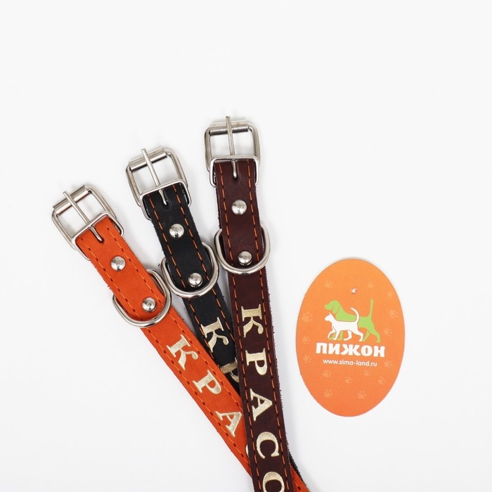 Ошейник кожаный однослойный, тиснёный  &laquo;Красотка&raquo;, 48 х 2 см, ОШ 32-43 см, микс цветов