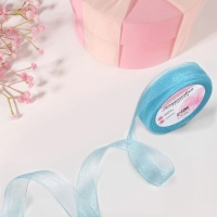 Лента капроновая, 20 мм, 20 &plusmn; 1 м, цвет тёмно-голубой