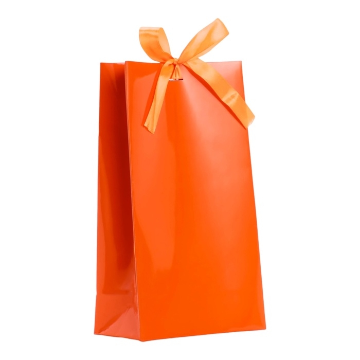 Пакет подарочный с лентой &laquo;Красный&raquo; 13 х 23 х 7 см, 1 шт.