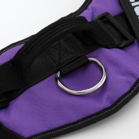 Шлейка К9 мягкая светоотражающая, размер ХХL, ОГ 95-110 см, вес 40-70 кг, фиолетовая Шлейка К9 мягкая светоотражающая, размер ХХL, ОГ 95-110 см, вес 40-70 кг, фиолетовая