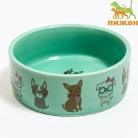 Миска керамическая "Важный пес" 250мл, 11,5 х 5 см, мятная Миска керамическая "Важный пес" 250мл, 11,5 х 5 см, мятная